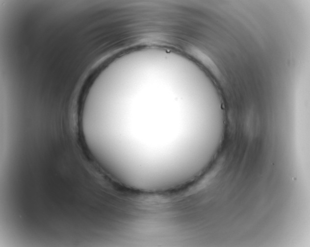 X0000088710931200706212000