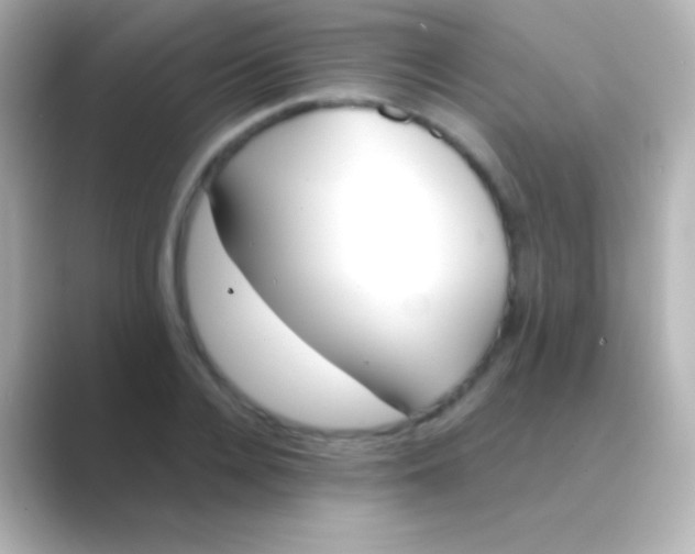 X0000088710936200706212000