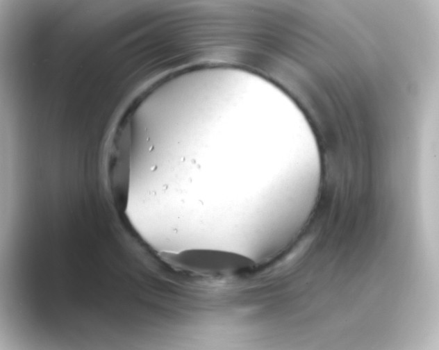 X0000088710939200706212000