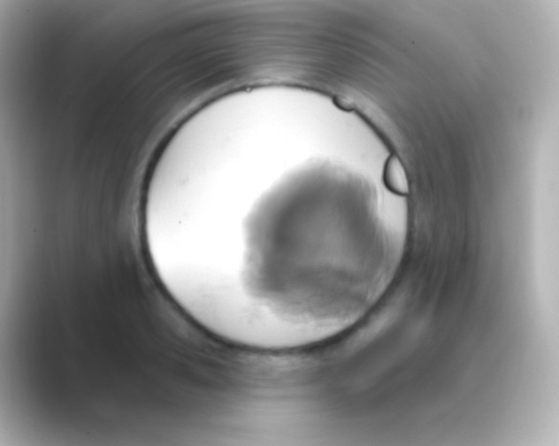 X0000088710941200706212000