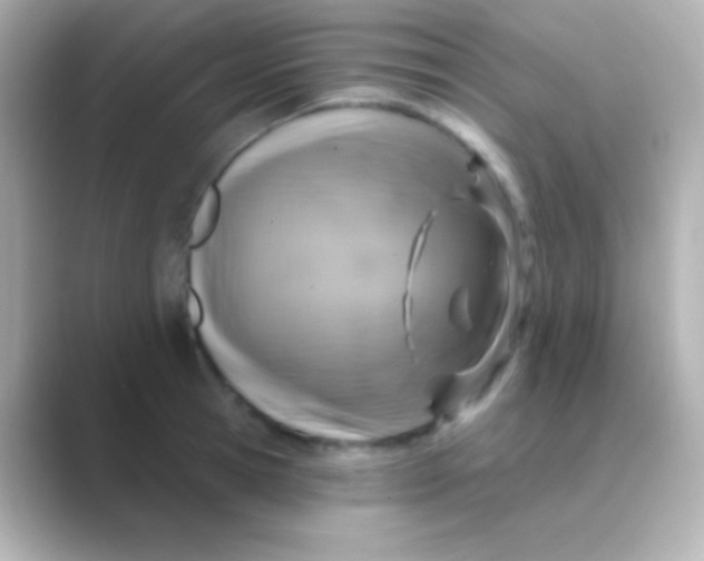 X0000088710945200706212000