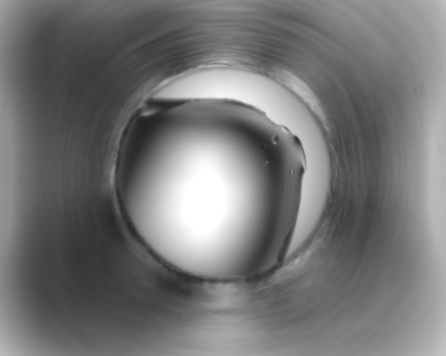 X0000088710946200706212000