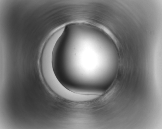 X0000088710951200706212000