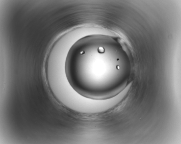 X0000088710952200706212000