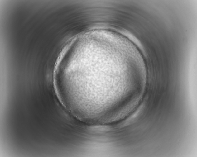 X0000088710953200706212000