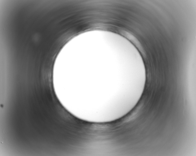 X0000088710954200706212000