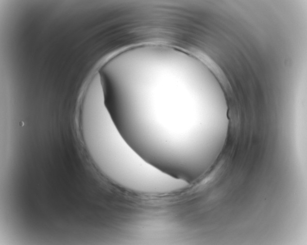 X0000088710956200706212000