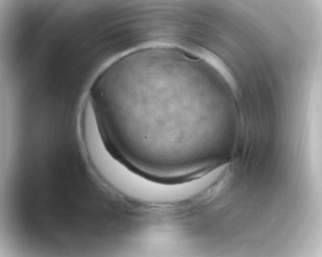 X0000088710958200706212000