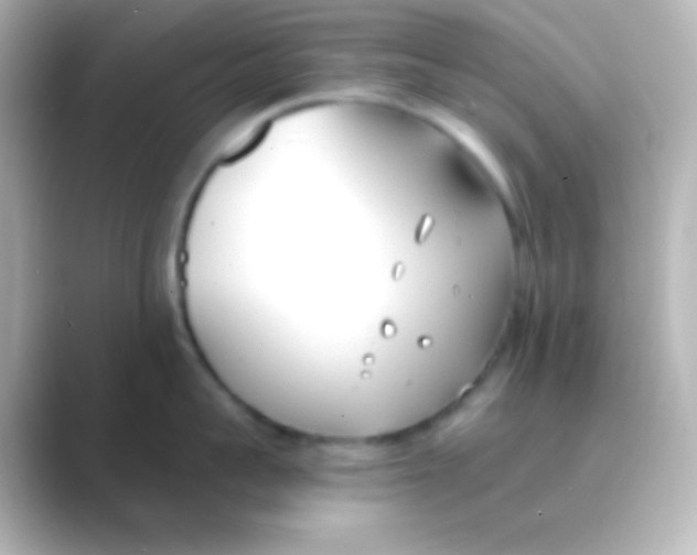 X0000088710959200706212000