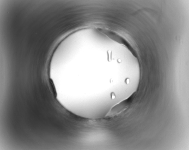 X0000088710960200706212000