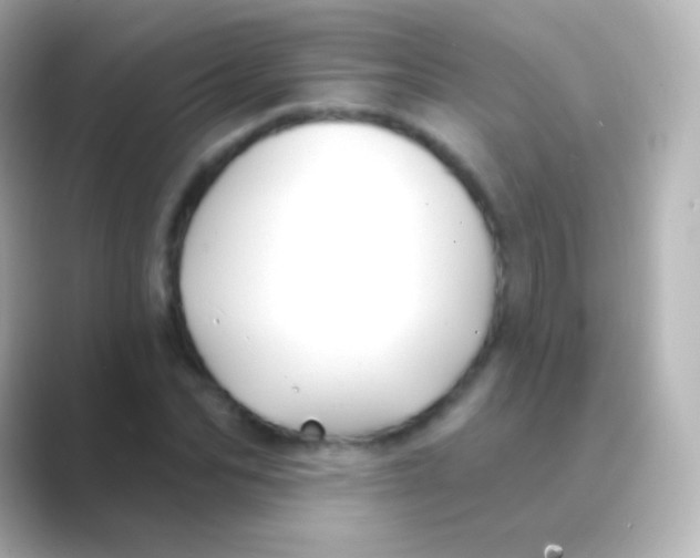 X0000088710974200706211959