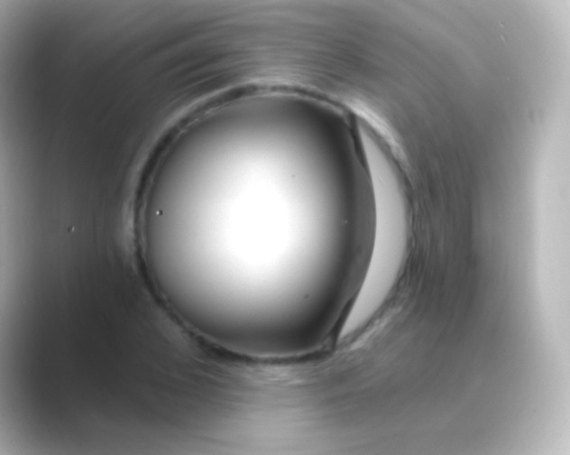 X0000088710976200706211959