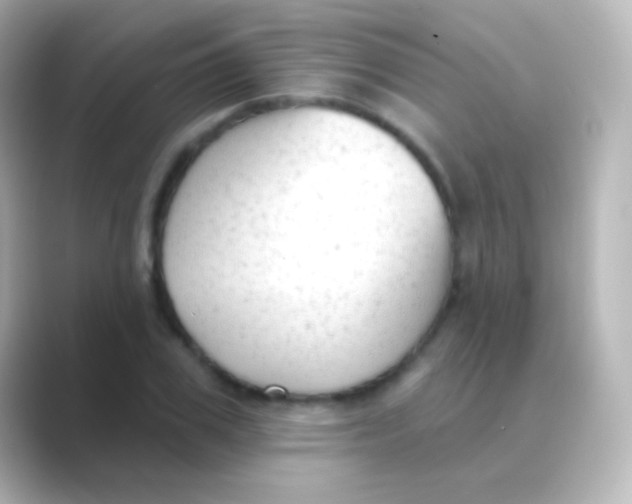 X0000088710979200706211959