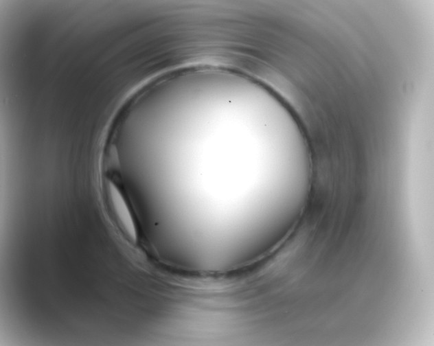 X0000088710980200706211959