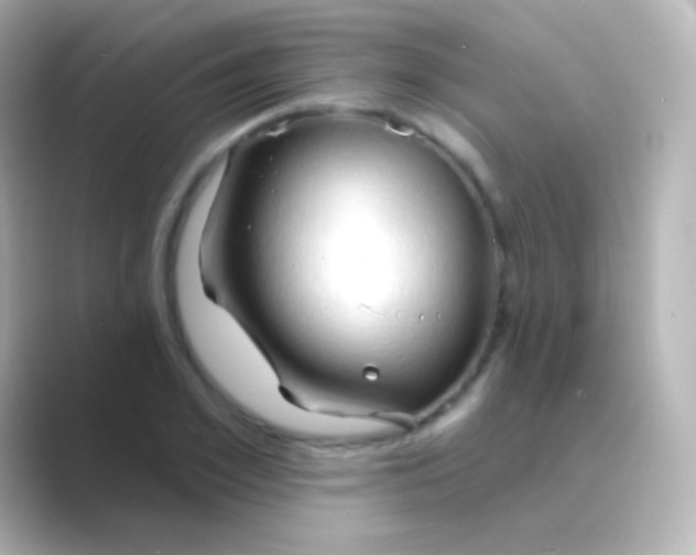 X0000088710981200706211959