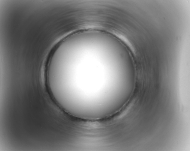 X0000088710983200706211959