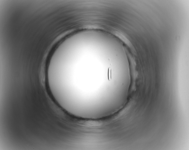 X0000088710984200706211959