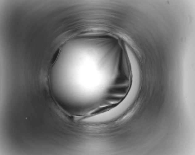 X0000088710985200706211959