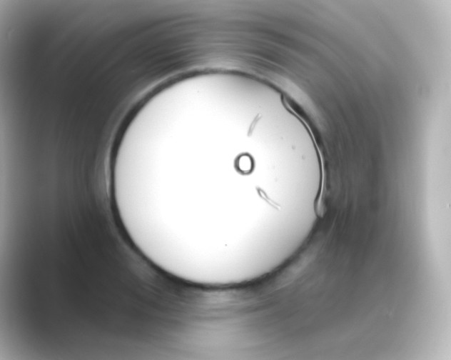 X0000088710988200706211959