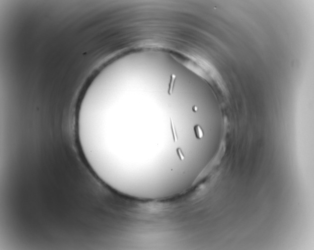 X0000088710992200706211959