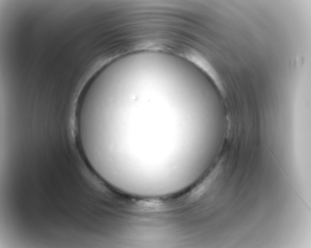 X0000088710994200706211959