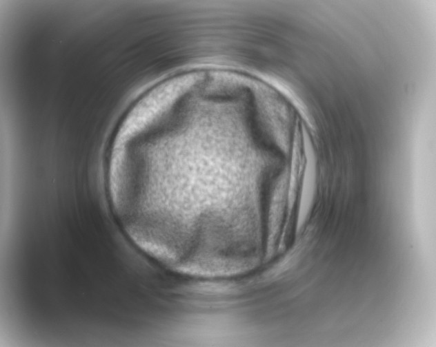 X0000088710998200706211959