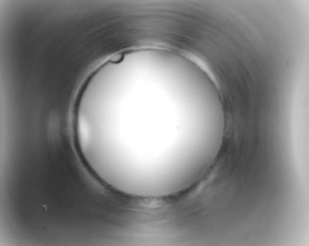 X0000088711003200706211959