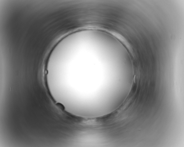 X0000088711006200706211959