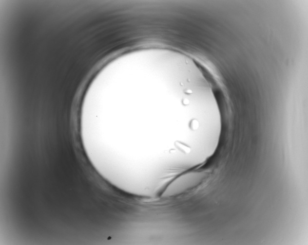 X0000088711008200706211959