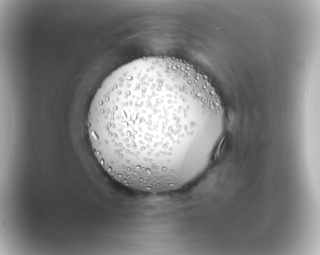 X0000088711009200706211958