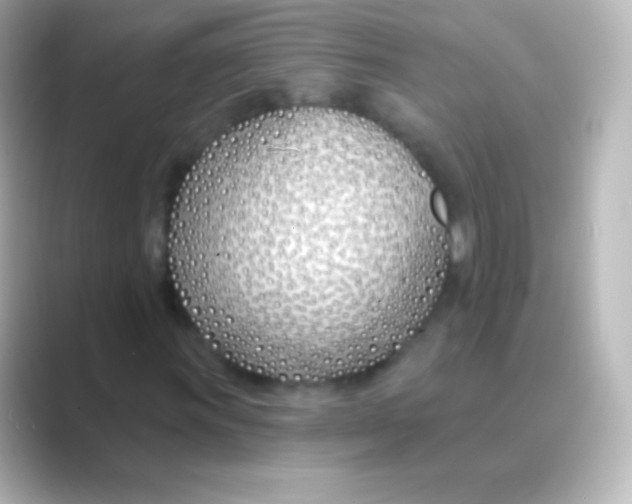 X0000088711011200706211959