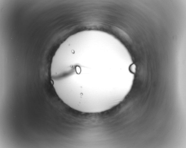 X0000088711016200706211959