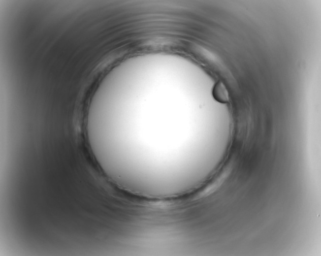 X0000088711017200706211959