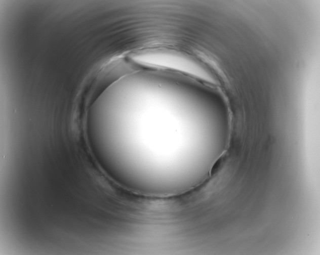 X0000088711018200706211959