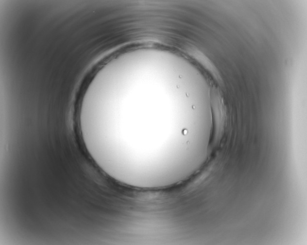 X0000088711020200706211959