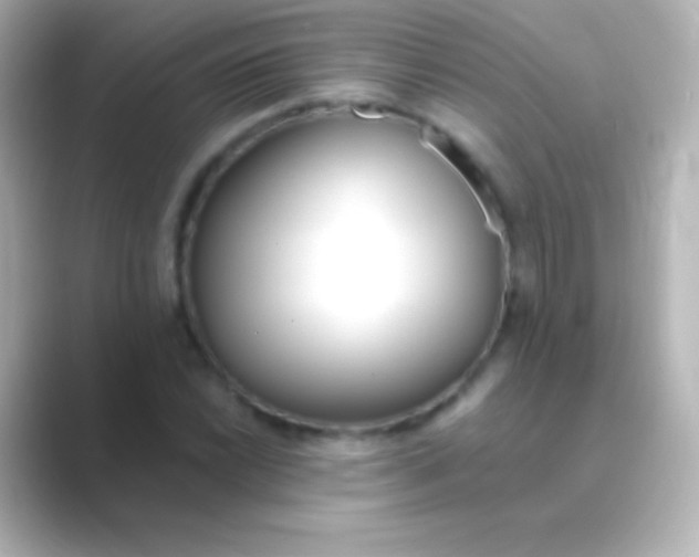 X0000088711022200706211959