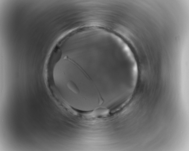 X0000088711024200706211959