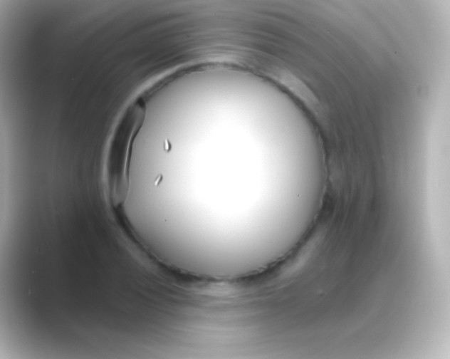 X0000088711028200706211959