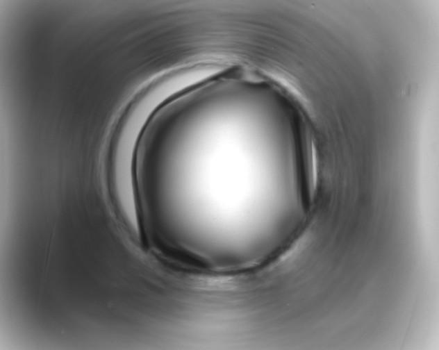 X0000088711030200706211959