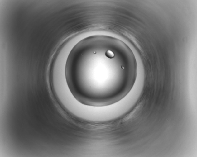 X0000088711034200706211959