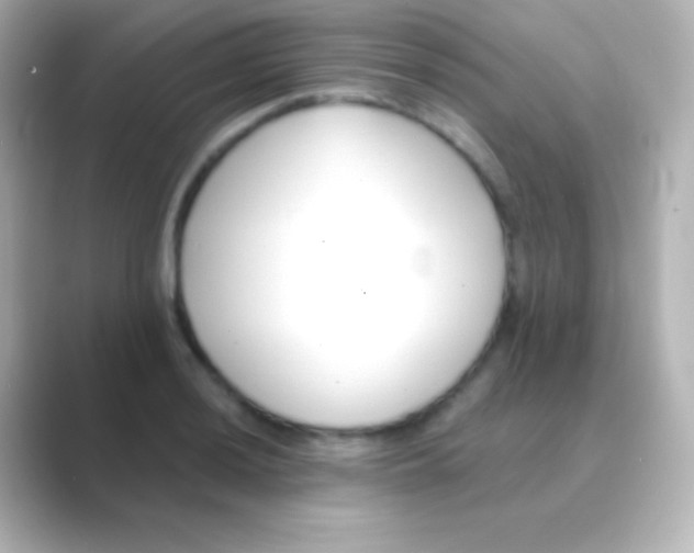 X0000088711036200706211959