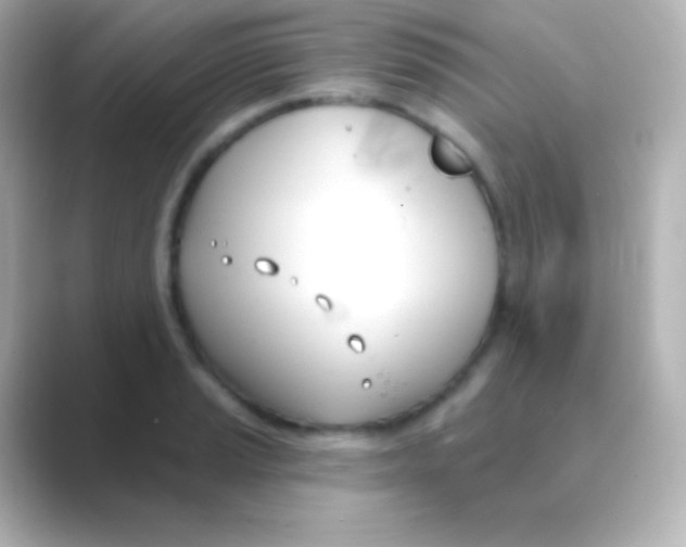 X0000088711037200706211959