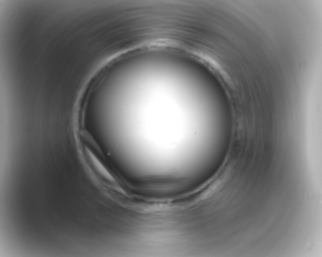 X0000088711038200706211959