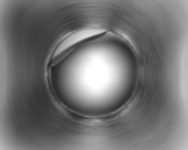 X0000088711042200706211959