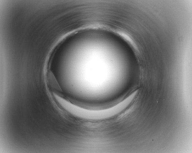 X0000088711046200706211959