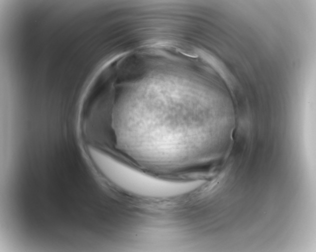 X0000088711050200706211959