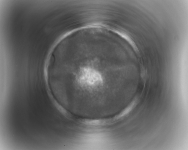 X0000088711054200706211959