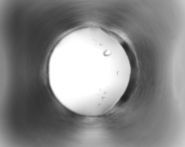 X0000088711056200706211959