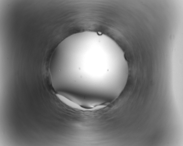 X0000088711058200706211958