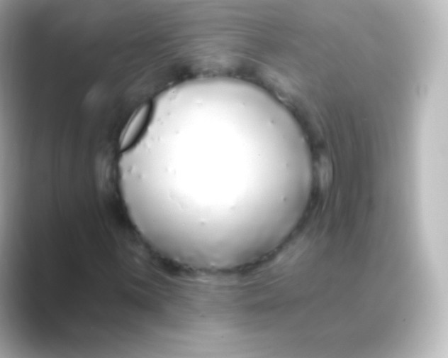 X0000088711059200706211958